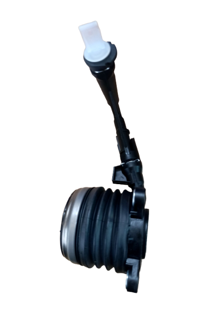 Imagen de galería 3