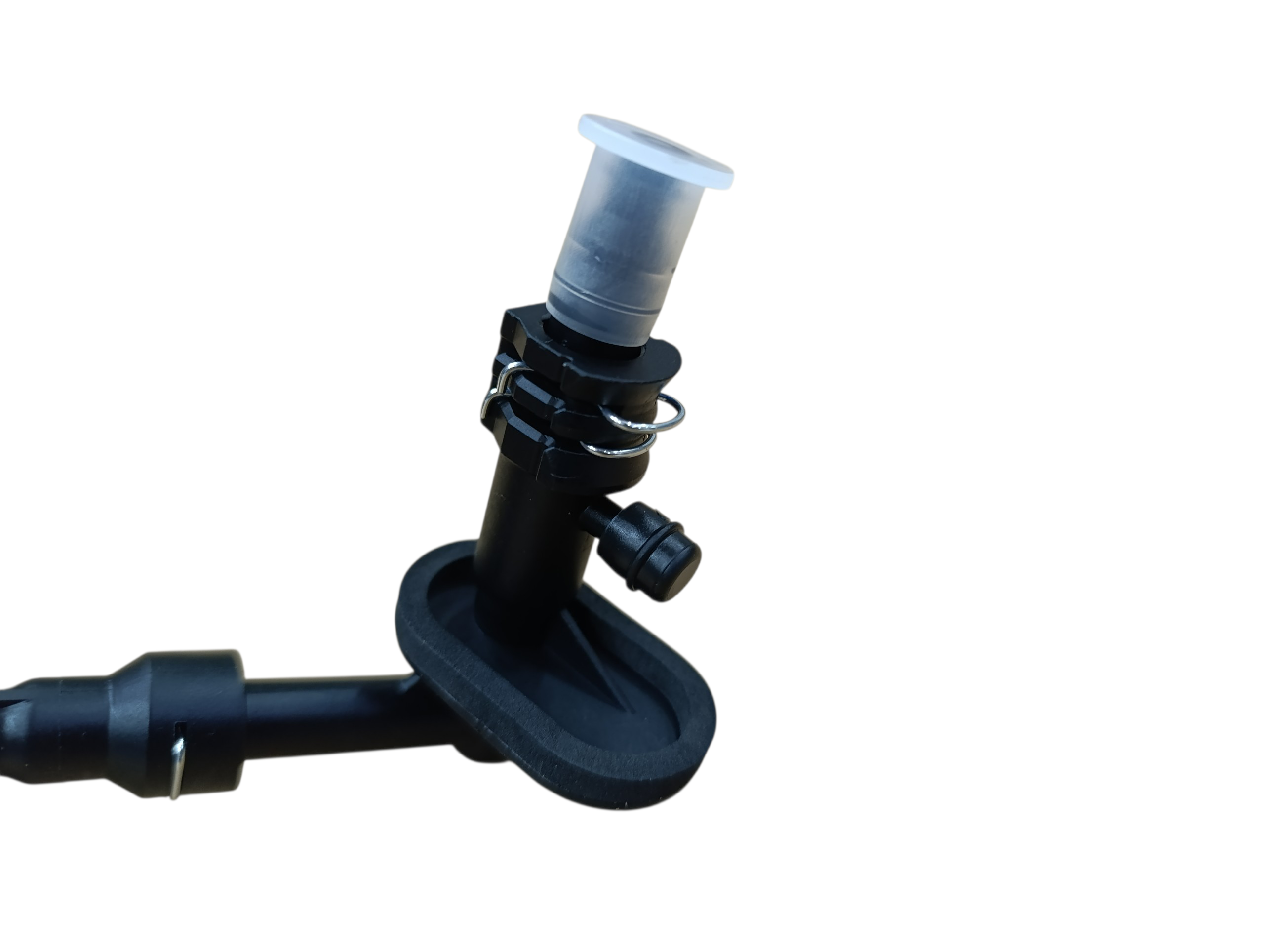 Imagen de galería 3