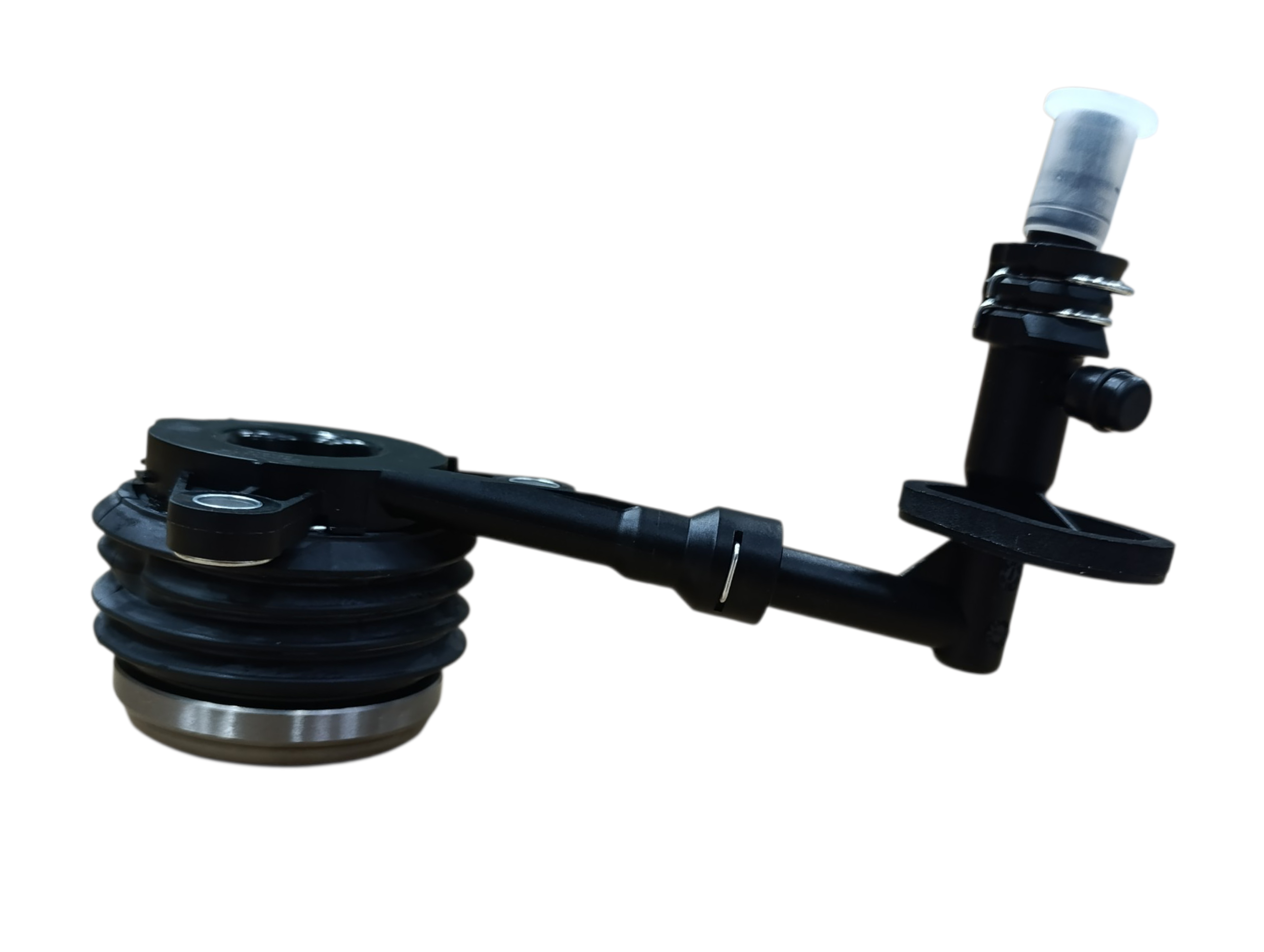 Imagen de galería 7