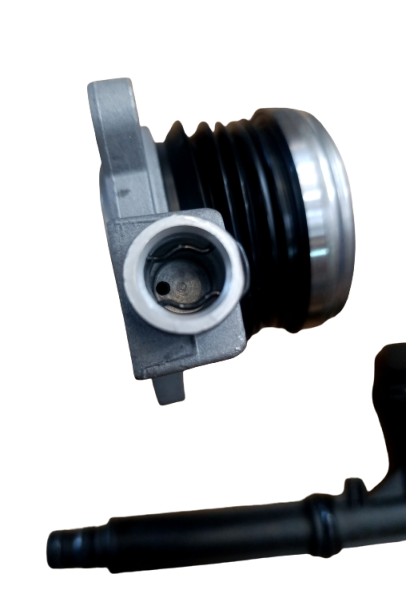 Imagen de galería 5