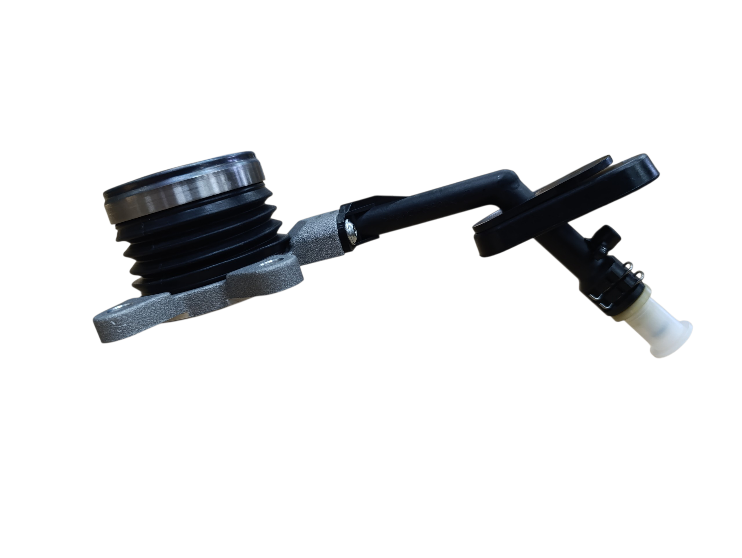 Imagen de galería 4